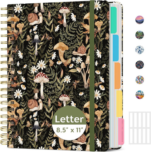 Pretty large spiral lined - large,